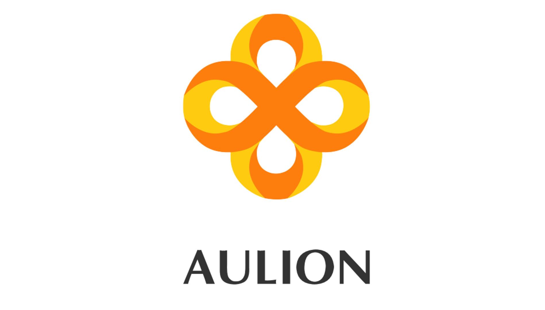aulion-AULION.jpg