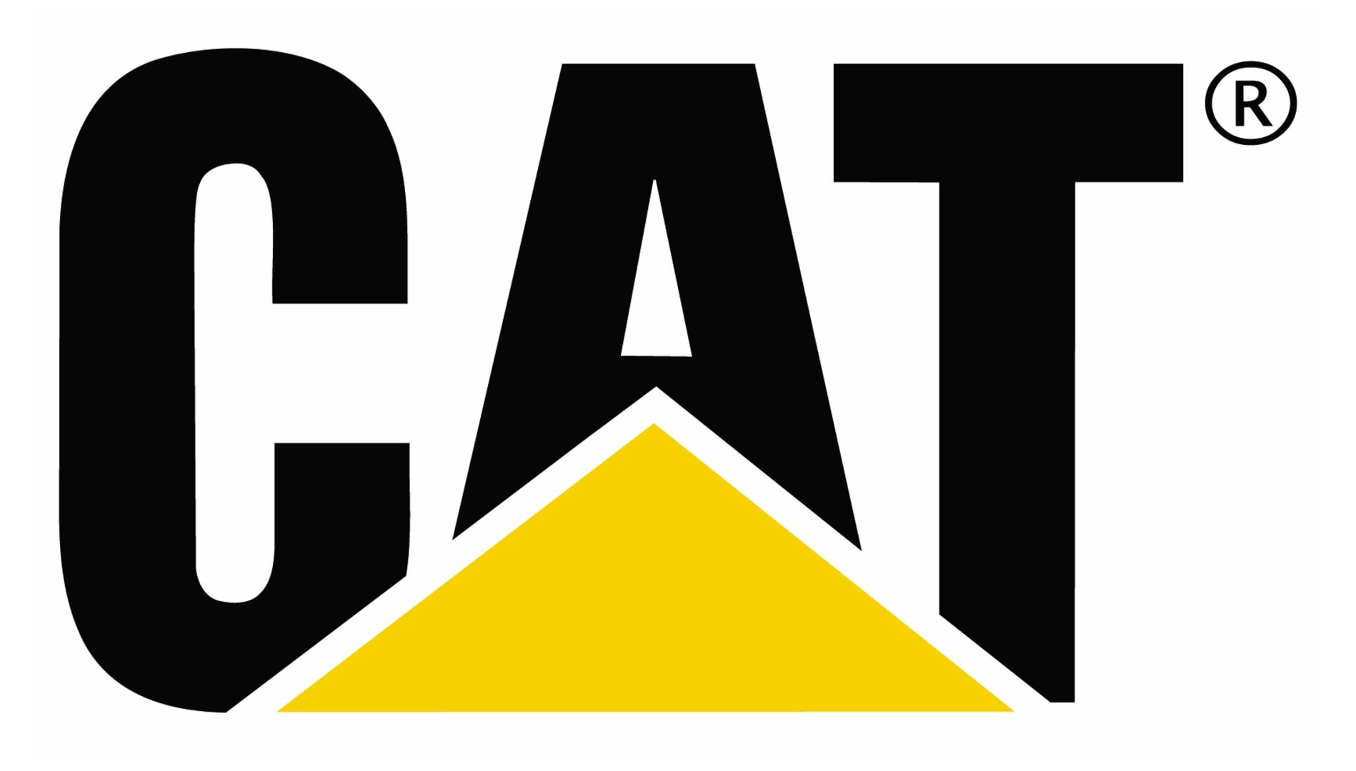 cat-CAT.jpg