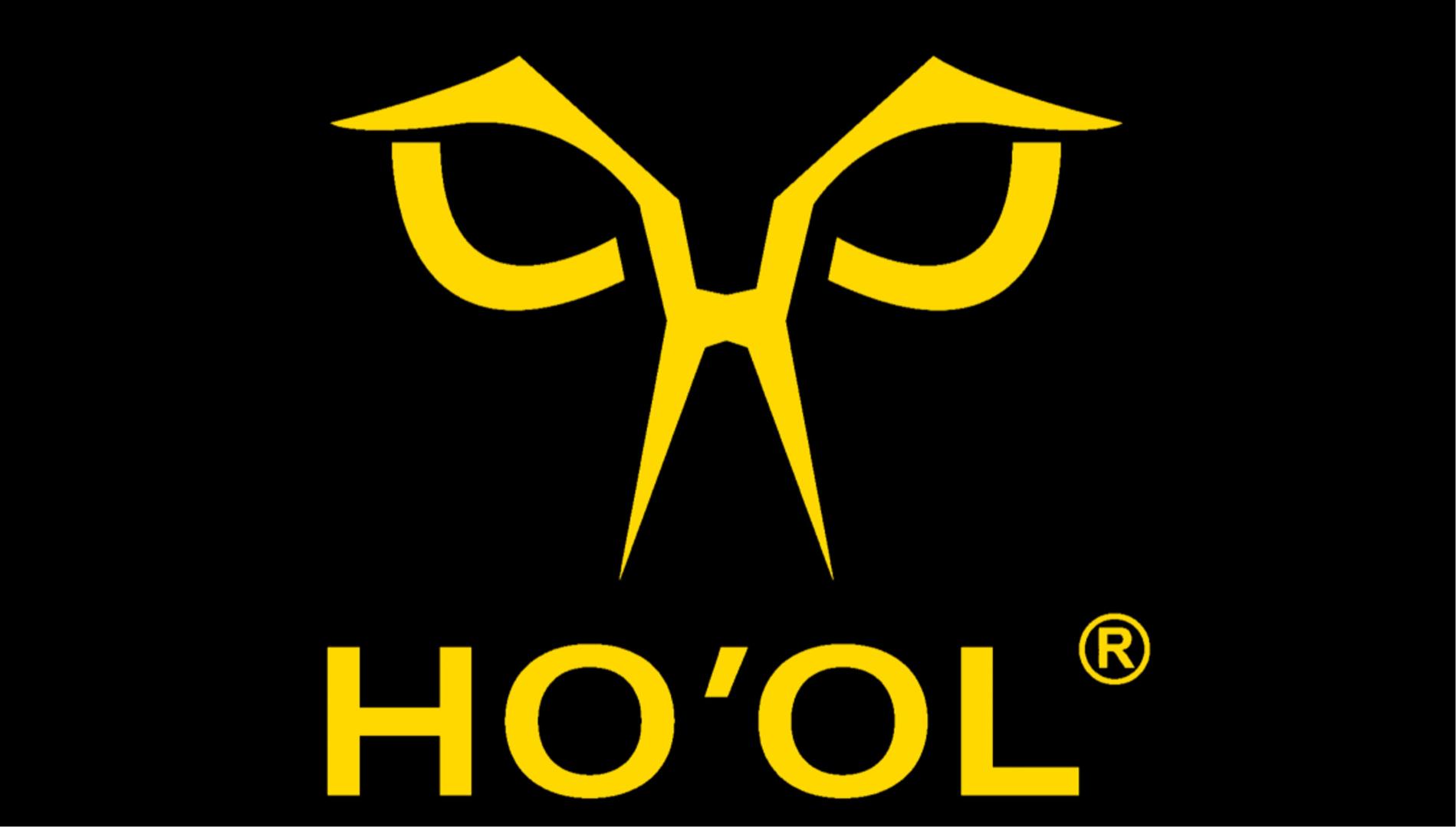 ho'ol-HO'OL.jpg